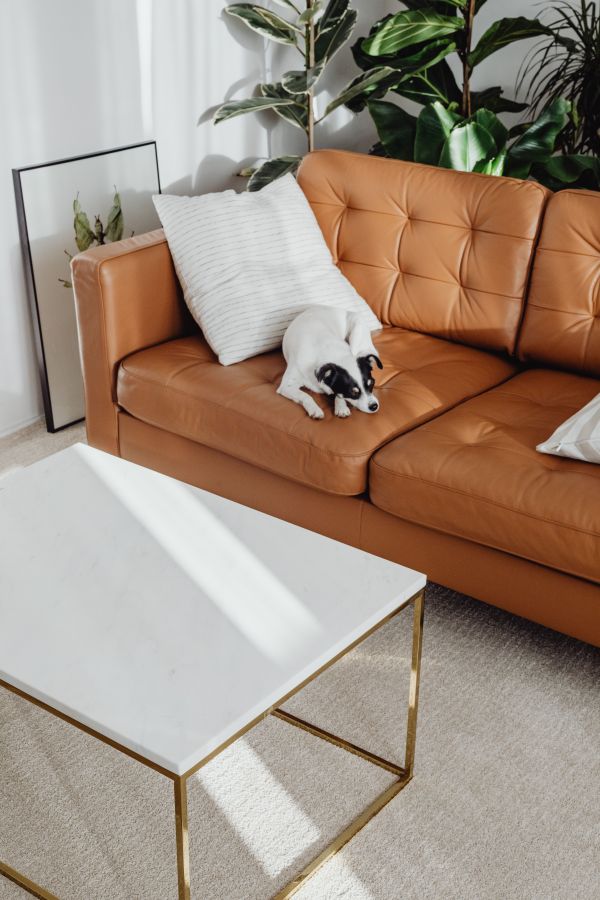 Les meilleures tables basses blanches pour tous les styles